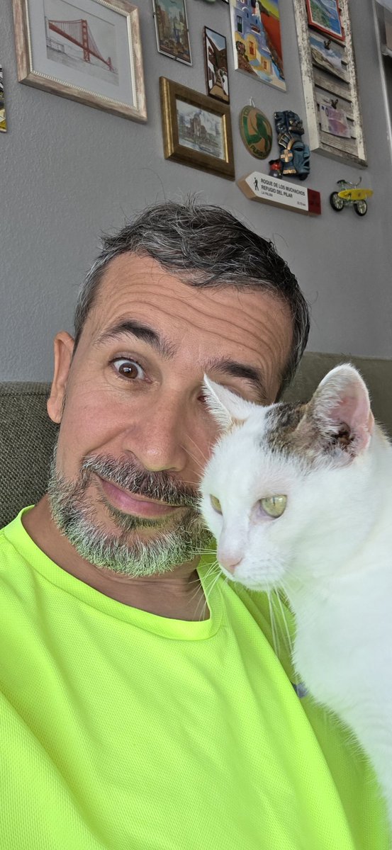 JorditgnT's tweet photo. 15 anys té la #Nosi 🥰🥰
#CatsOfTwitter #CatsLover https://t.co/56oBIJ2zvG