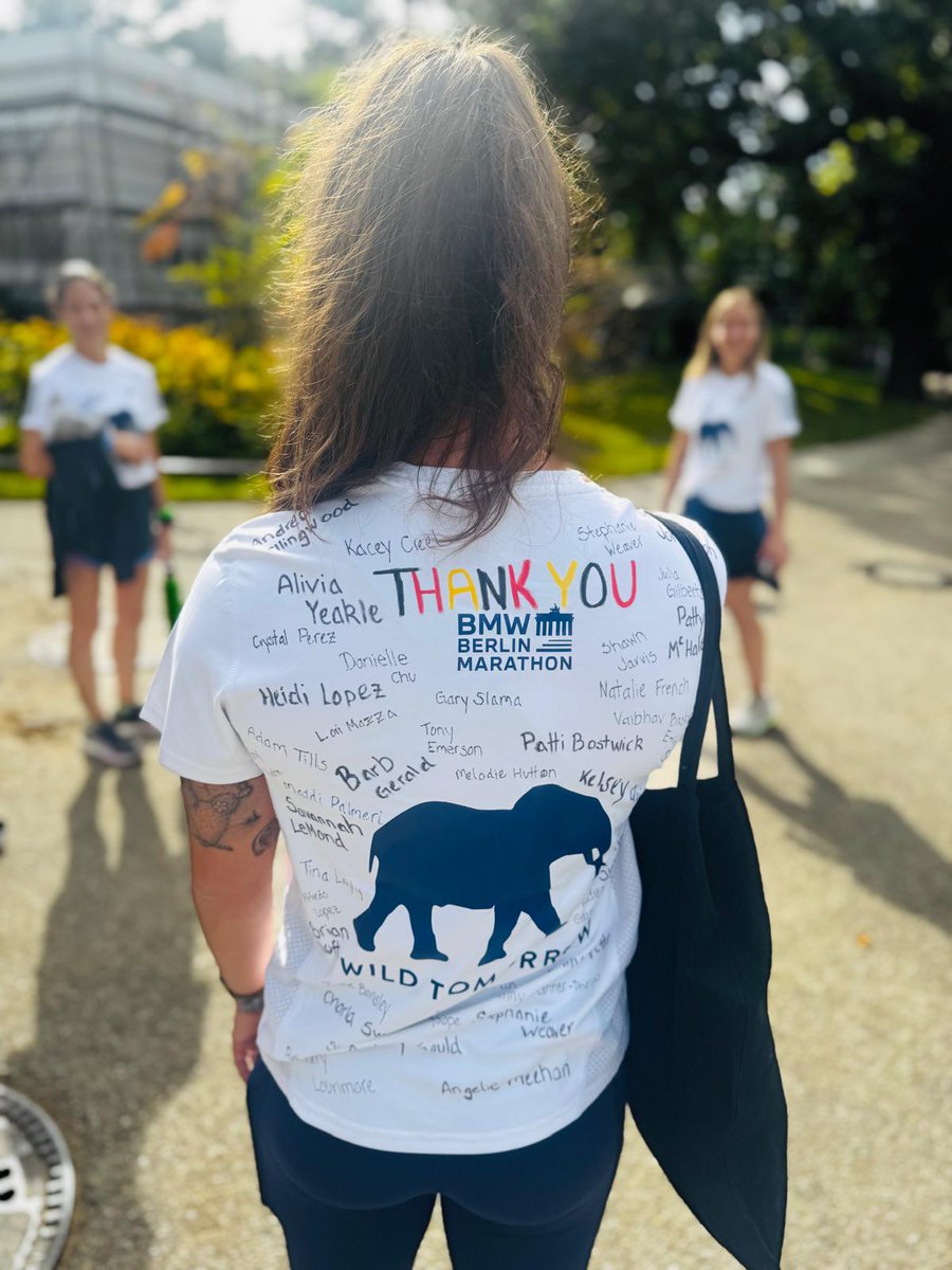 wildtomorrow's tweet photo. TEAM ELEPHANT CRUSHES IT! 🙌 
$43,080 raised for wildlife conservation at the 2025 BMW Berlin Marathon! 🐘💚 Read their epic story:
👉 https://t.co/uMpRmiHbYo 
 #WildTomorrow #TeamElephant #BerlinMarathon" https://t.co/pvu5XD71lb