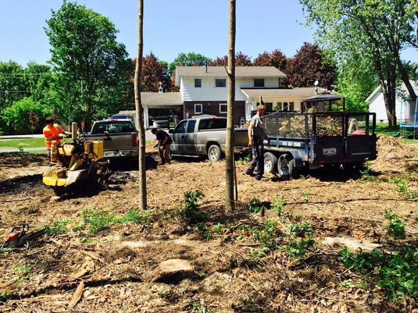 CanadianBPB's tweet image. Family Tree Service in Perth, ON offers lot clearing, Bobcat work, tree removal &amp;amp; hazardous tree removal. Reliable, safe &amp;amp; professional tree care. #TreeService #Ontario

provincialonlinephonebook.com/listing/Family…