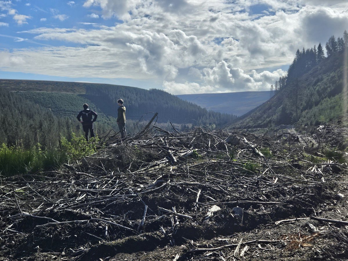 Castlefield Campus tweet media