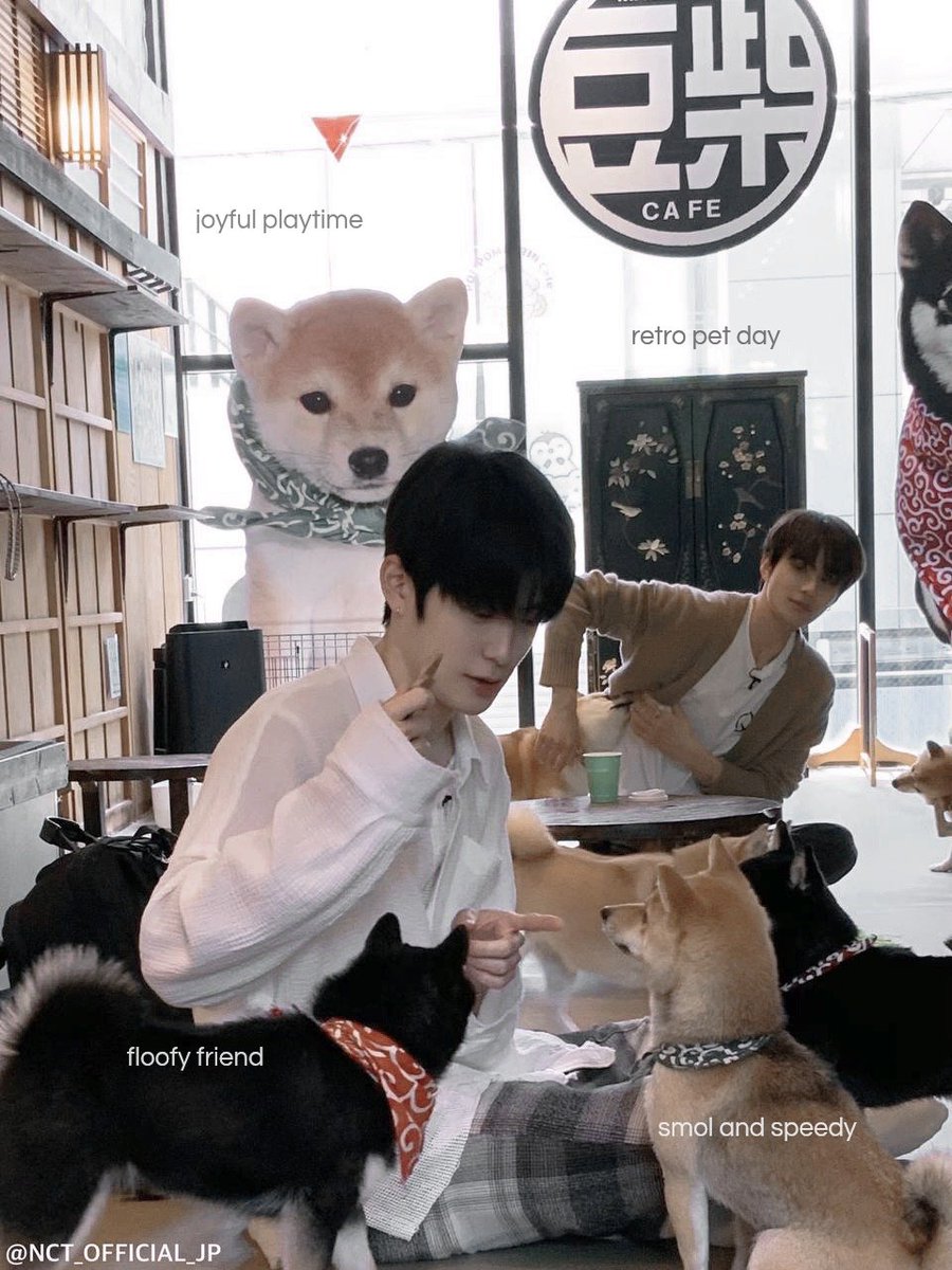 𝘛𝘩𝘦 𝘗𝘰𝘦𝘵𝘳𝘺 𝘰𝘧 재 ☁️ tweet media