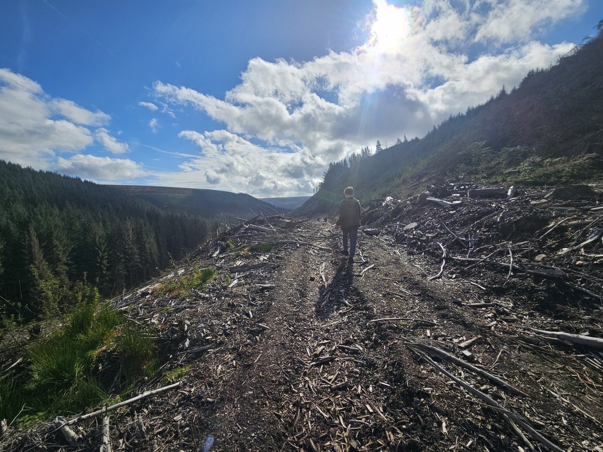 Castlefield Campus tweet media