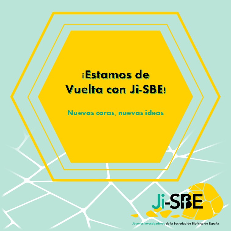 Jóvenes Investigadores SBE tweet media