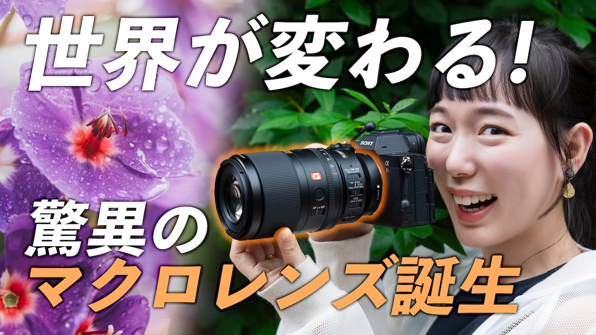 もろんのん📷photographer on X