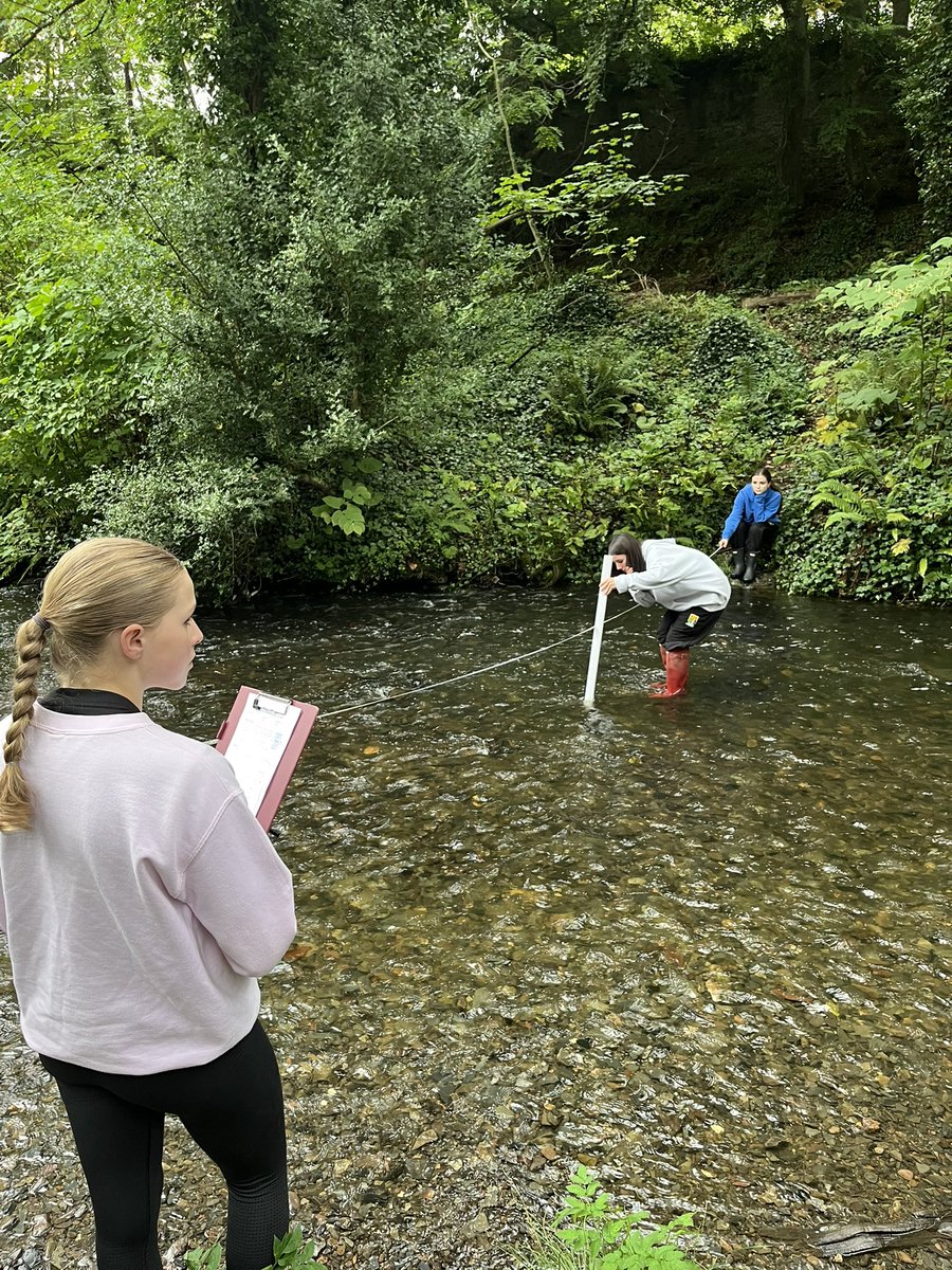 SUSGeog's tweet photo. GCSE Fieldwork. Year 12 pupils enjoyed an afternoon out in Crawfordsburn Forest Park collecting data for their fieldwork examination. 🌍 @sullivan_upper https://t.co/E9R9Rur4F2