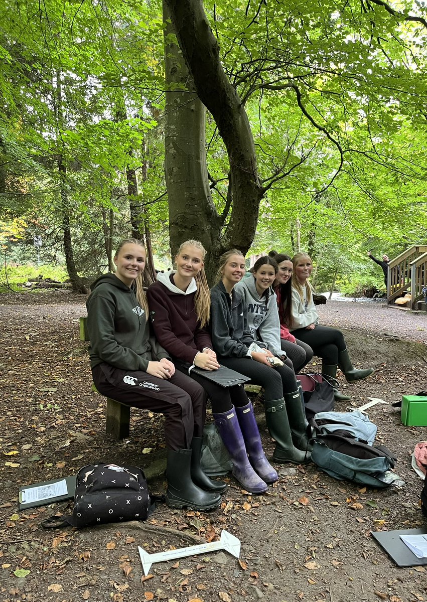 SUSGeog's tweet photo. GCSE Fieldwork. Year 12 pupils enjoyed an afternoon out in Crawfordsburn Forest Park collecting data for their fieldwork examination. 🌍 @sullivan_upper https://t.co/E9R9Rur4F2