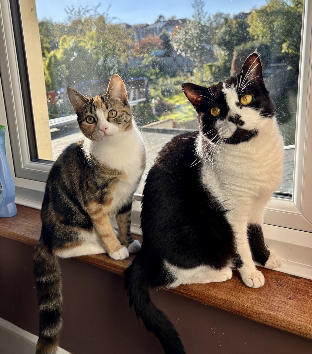 You have no idea how hard I had to work to get this shot