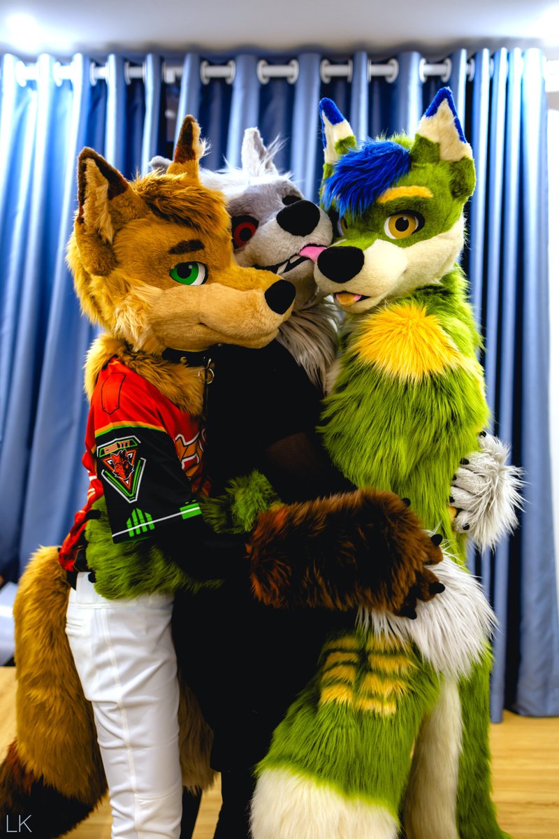 Having fun with two handsome wolfie <a href="/Wufuzz/">Wufuzz</a> &amp; <a href="/HlangArn/">🐾Hlangarn🐾 ➡️ BKB ➡️ FURUM</a> 
📷 <a href="/linkkunghusky/">Link🔜FURUM</a>