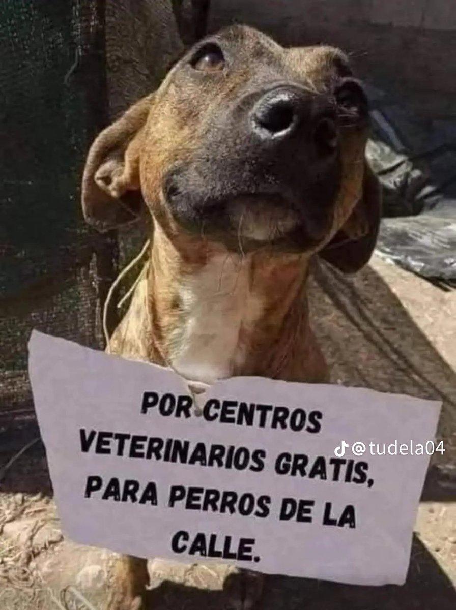 Pásalo.