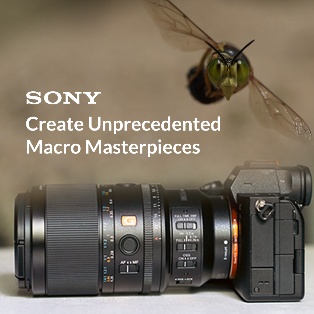 adorama's tweet image. NEW from @Sony 🚨👀

Introducing the Sony FE 100mm F2.8 Macro GM OSS
See up to 2.8x magnification with optional teleconverter.‡ 

Special Financing Available*

➡️ Click here to watch the full hands-on review: youtube.com/watch?v=9gZ9O8…
➡️ Pre-Order/Shop now: adorama.com/iso100m28.html