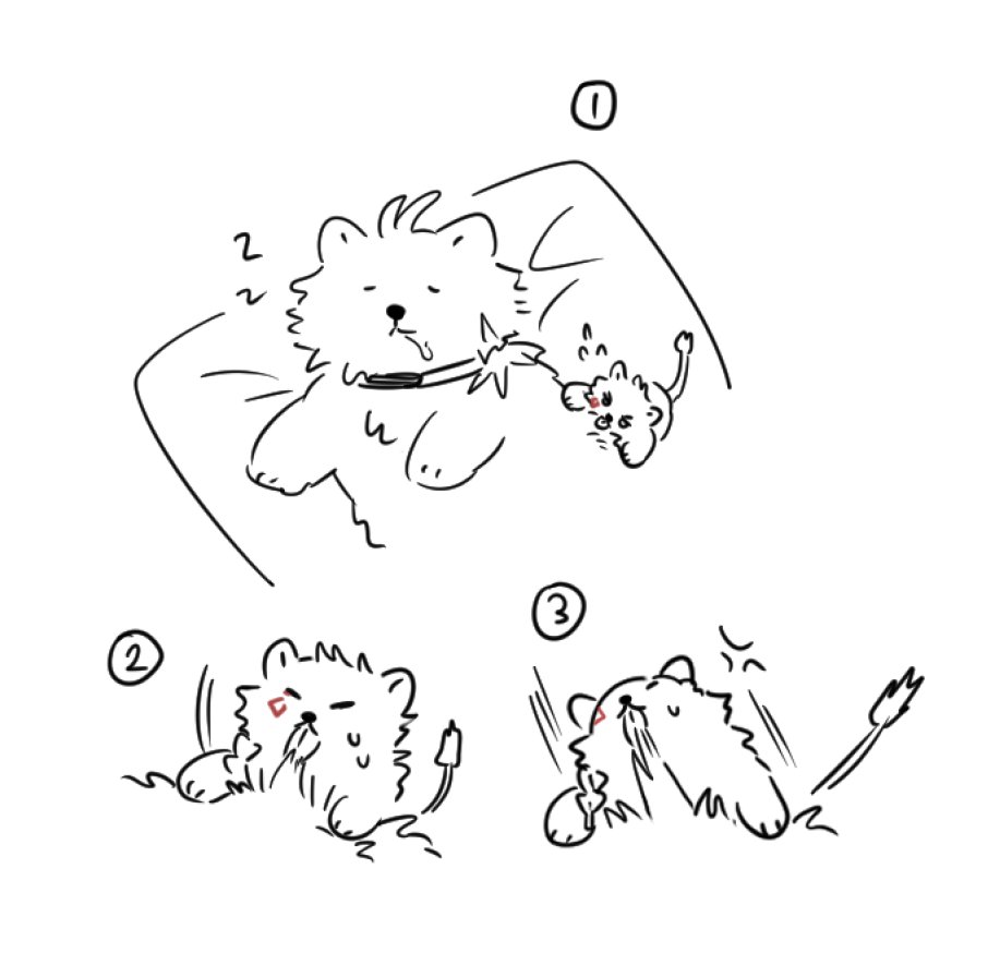 스마트인텔리쥐갈공명 (@bm88501) on Twitter photo 