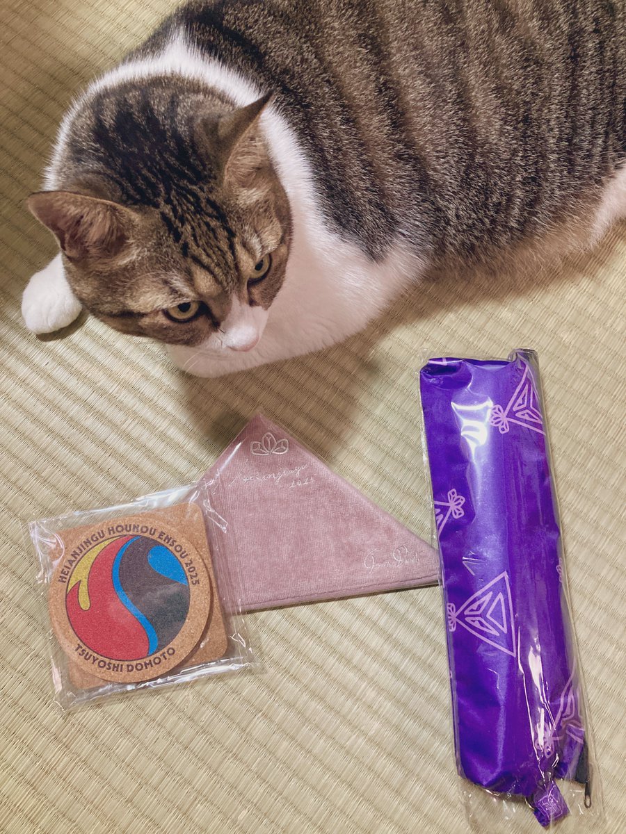 ひじりの落書き hijiringo👉💪🍎 ！△！ 🌈🪐🌙🌍🦌🌳 on X