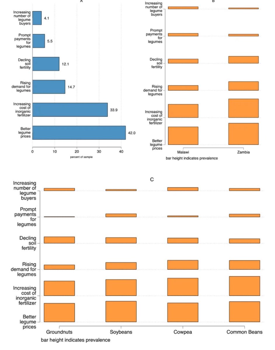 Hambulo Ngoma tweet media