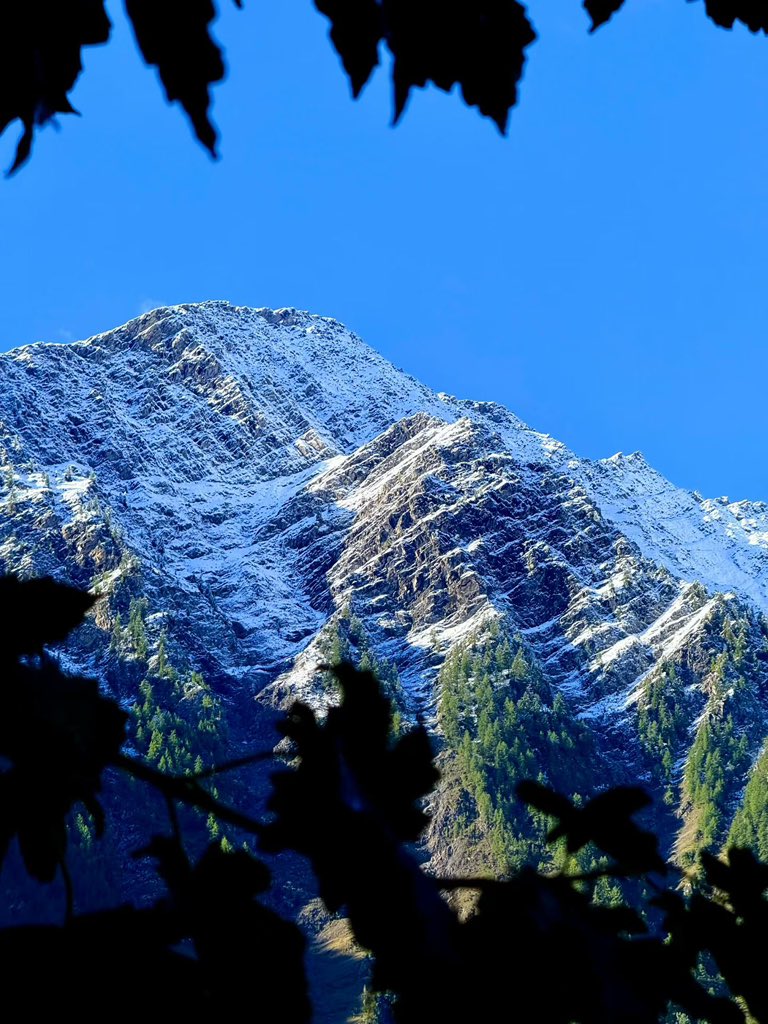 Travis Walker tweet media