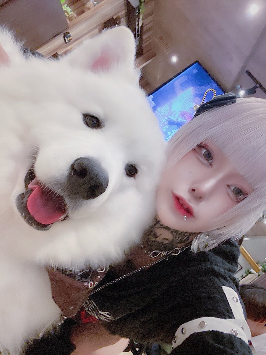 Hi_tug1's tweet photo. 🐶🩵⚰️ https://t.co/eyJtC1vL4t