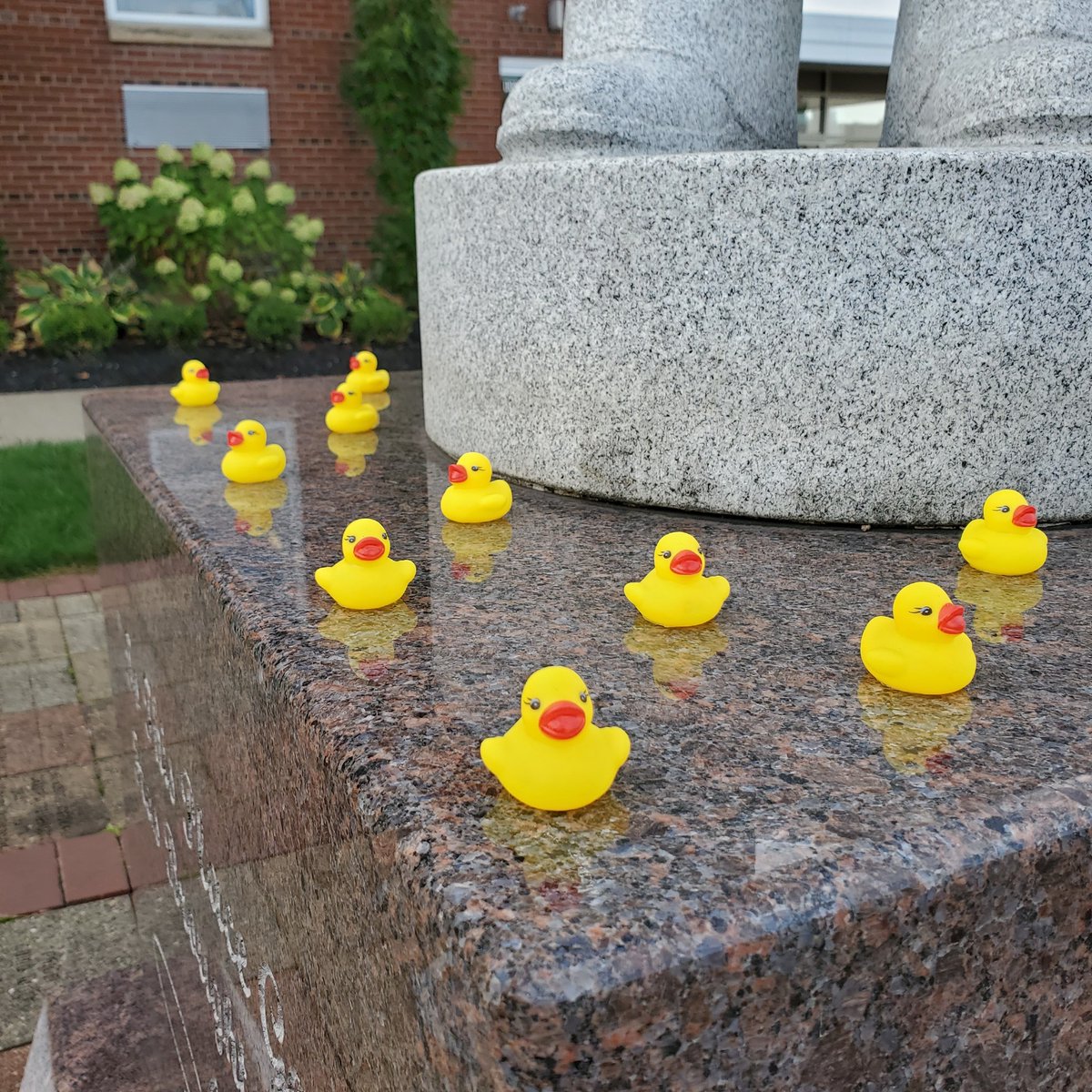 LVTroost's tweet photo. Someone covered downtown Canonsburg, PA, with little #rubberducks--even the statue of #PerryComo. https://t.co/204tBUopHm