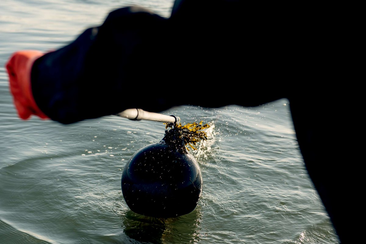 GreenWave tweet media