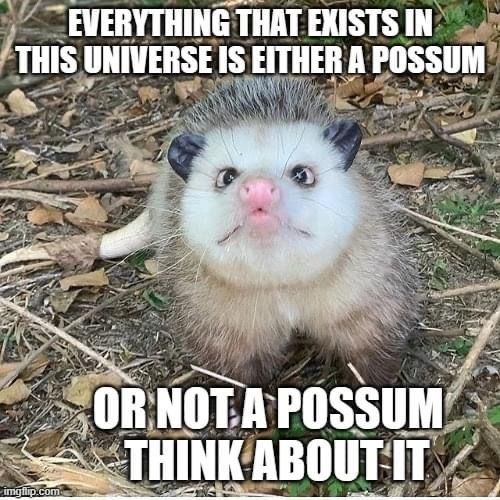 Snaggletooth Screamer (@deathposs) on Twitter photo 