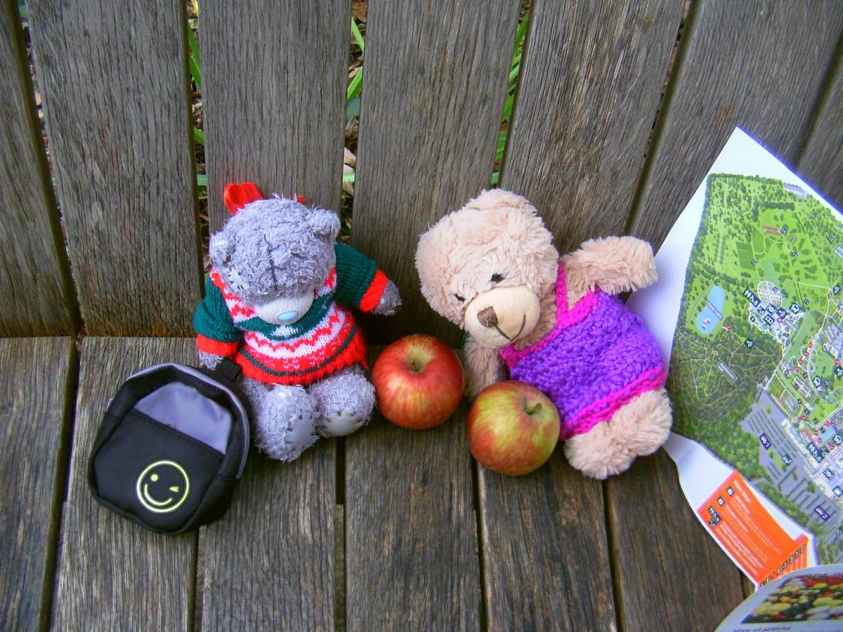 Teddy45825659's tweet photo. @HeroStuffie Here I am with Lucky enjoying a VERY healthy dessert @RHSWisley 😇🍎 

Enjoy the cruise! ⚓️⛵️ https://t.co/DPUBin6IHa
