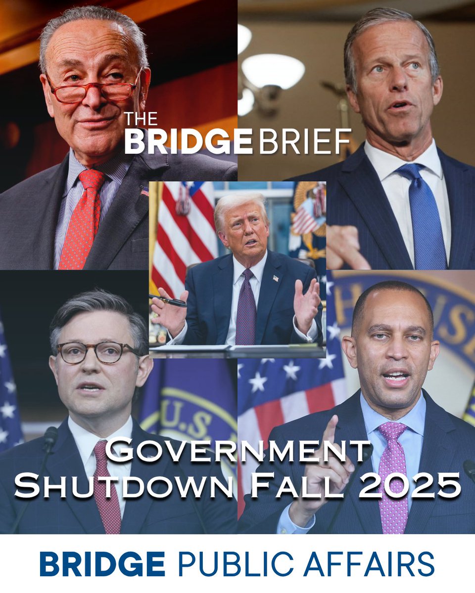 Bridge Public Affairs tweet media