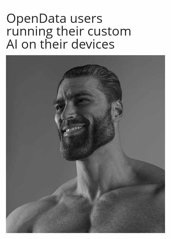 open_data_'s tweet photo. 😎 No more monthly subscriptions. No more waiting for API responses. No more sending your data to #BigTech servers.

Just your #AI, your #data, your device.
This is what #DigitalFreedom feels like 🔥

https://t.co/u6IfUyh3r7

#LocalAI #AIIndependence #PersonalAI #AItraining #SLM https://t.co/CRrMPgiRcO