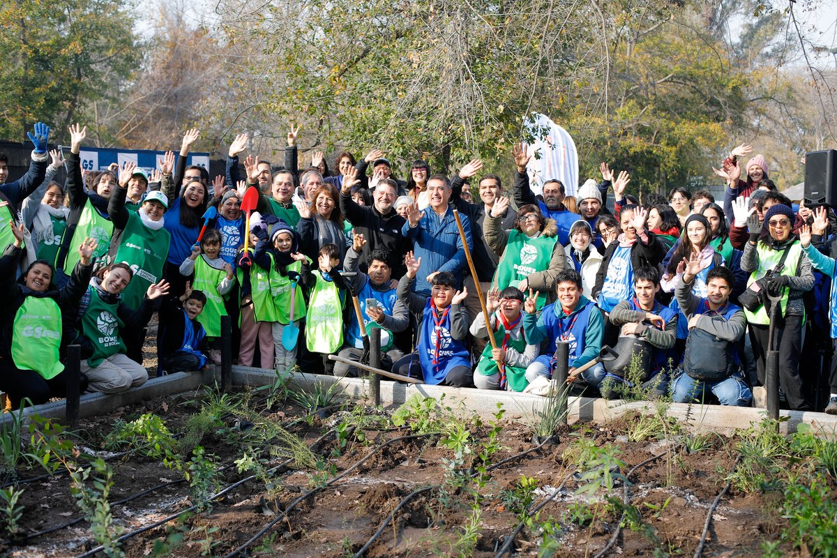 ¿Sabías que 33 serán los bosques de bolsillo que se plantarán en la RM?, se utiliza la técnica Miyawaki que es de rápido crecimiento e imitan el caos armónico de un bosque nativo de alta densidad en espacios urbanos