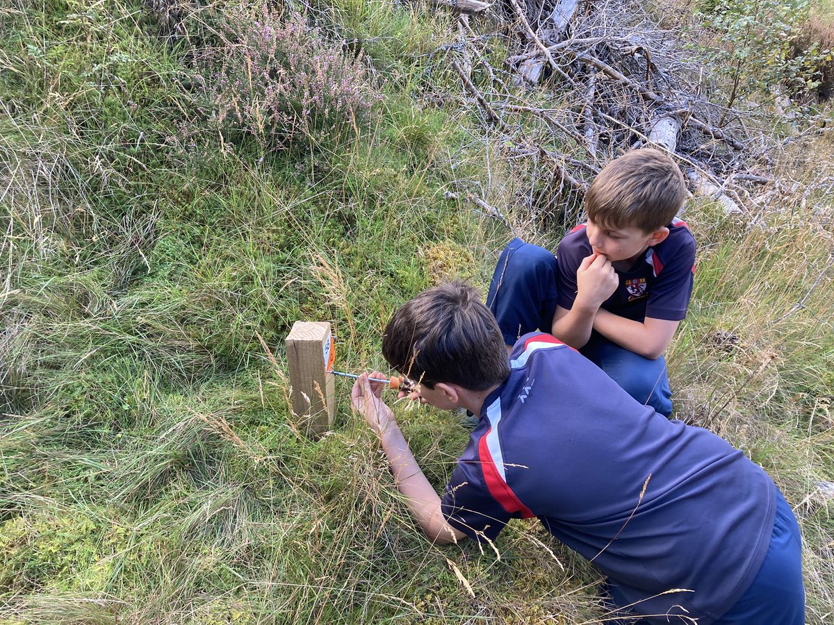 Mar Orienteering tweet media