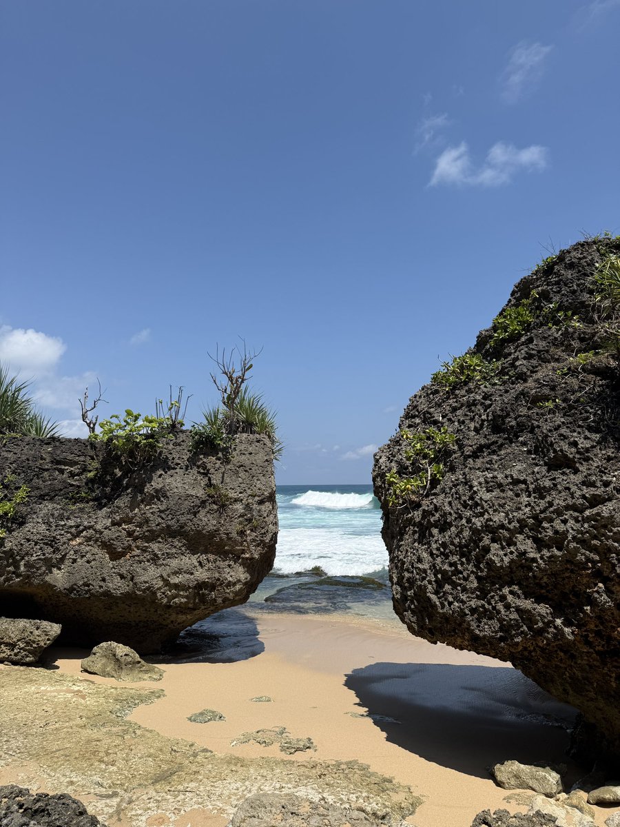 putranicholas1's tweet image. Seharian full mantai.