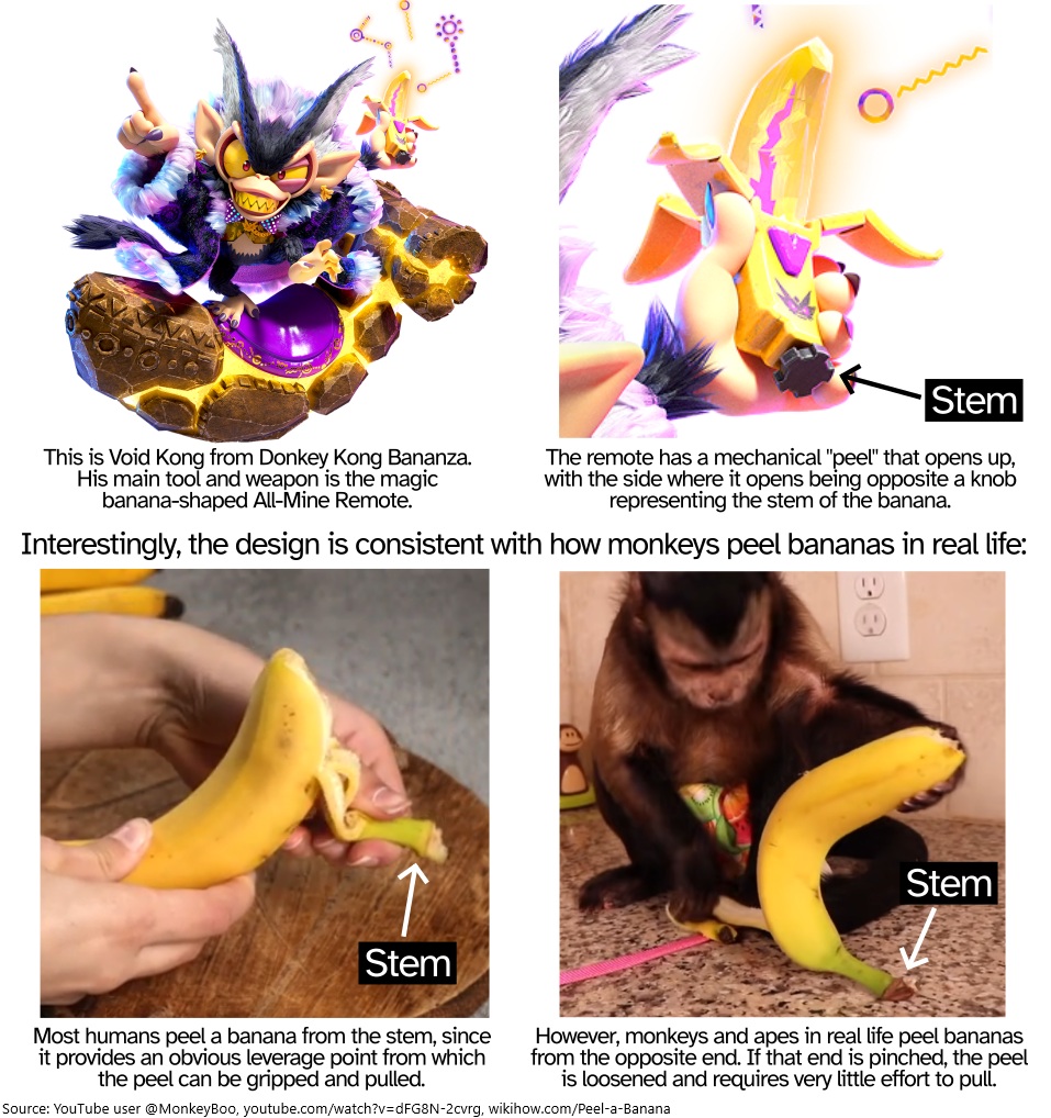 MarioBrothBlog's tweet image. In Donkey Kong Bananza, Void Kong&apos;s banana remote opens from the end opposite the stem. This is actually consistent with how apes and monkeys peel bananas in real life. While humans tend to peel bananas from the stem, monkeys peel from the opposite end.