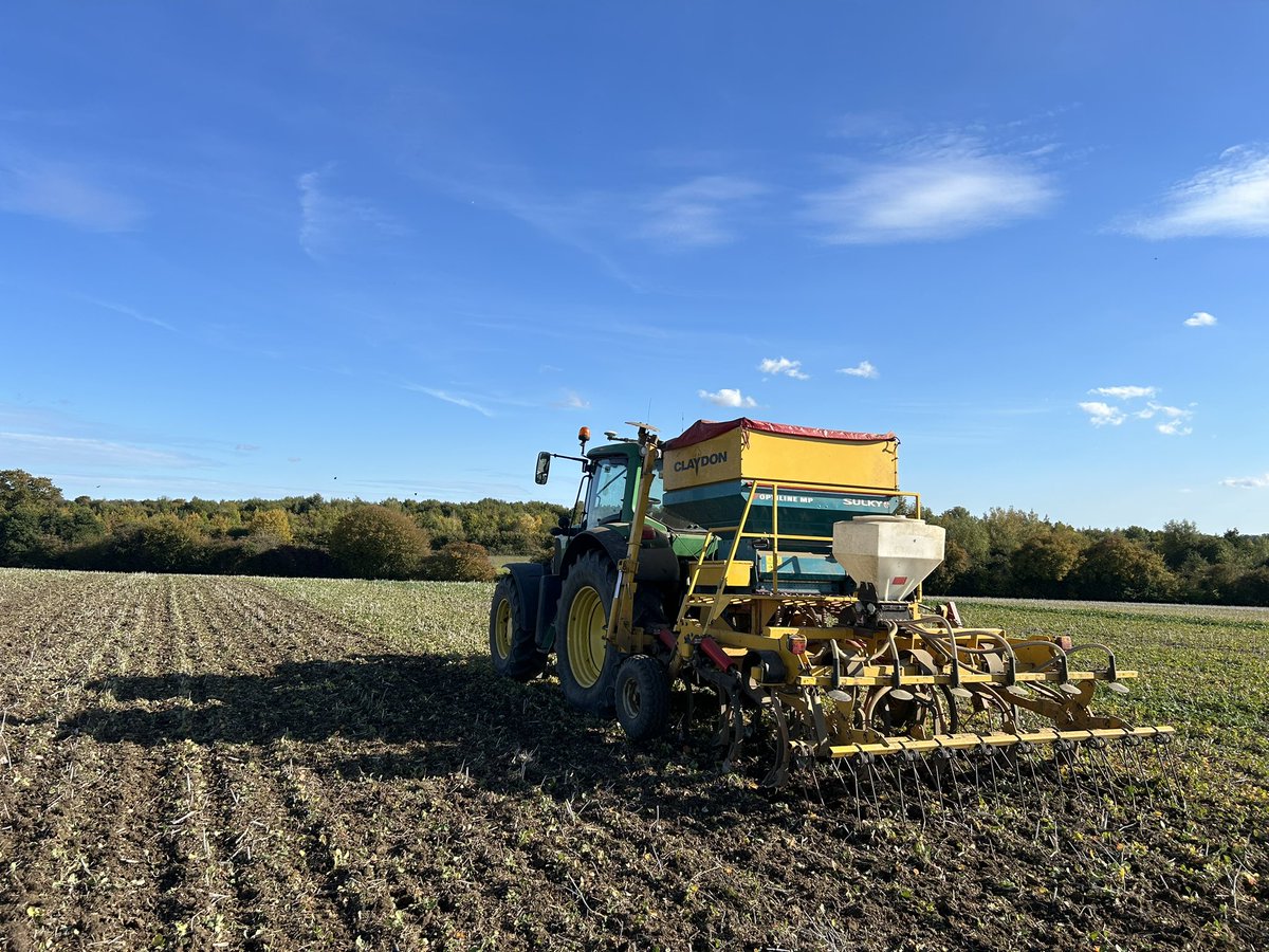 Louis Stephenson tweet media