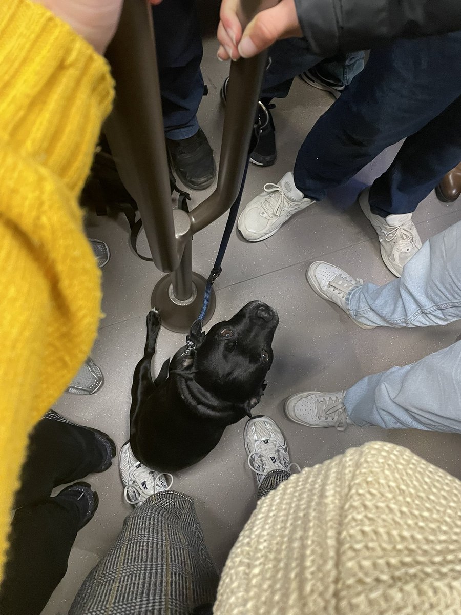 Si tous mes voyages en métro pouvaient se passer comme ça je serais ravie