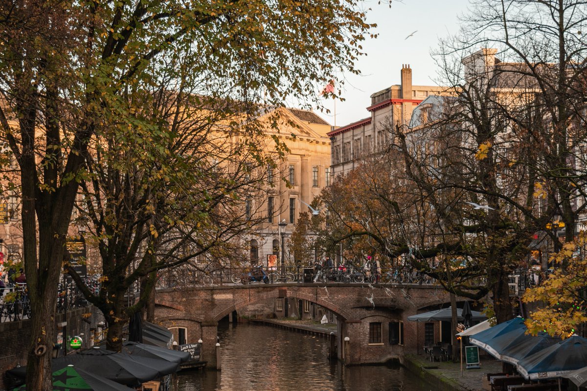Als teken van solidariteit aan de slachtoffers van de genocide in Gaza projecteren we zaterdag 4 en zondag 5 oktober (overdag en ’s avonds) een rode lijn op het stadhuis van Utrecht. Lees hier meer👉direc.to/nL_a