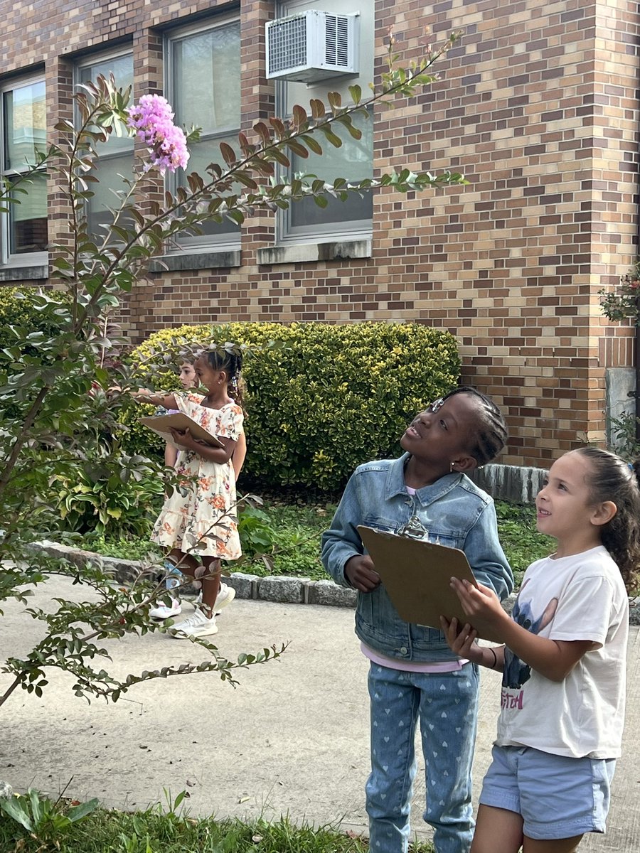 MWD Explore Class tweet media