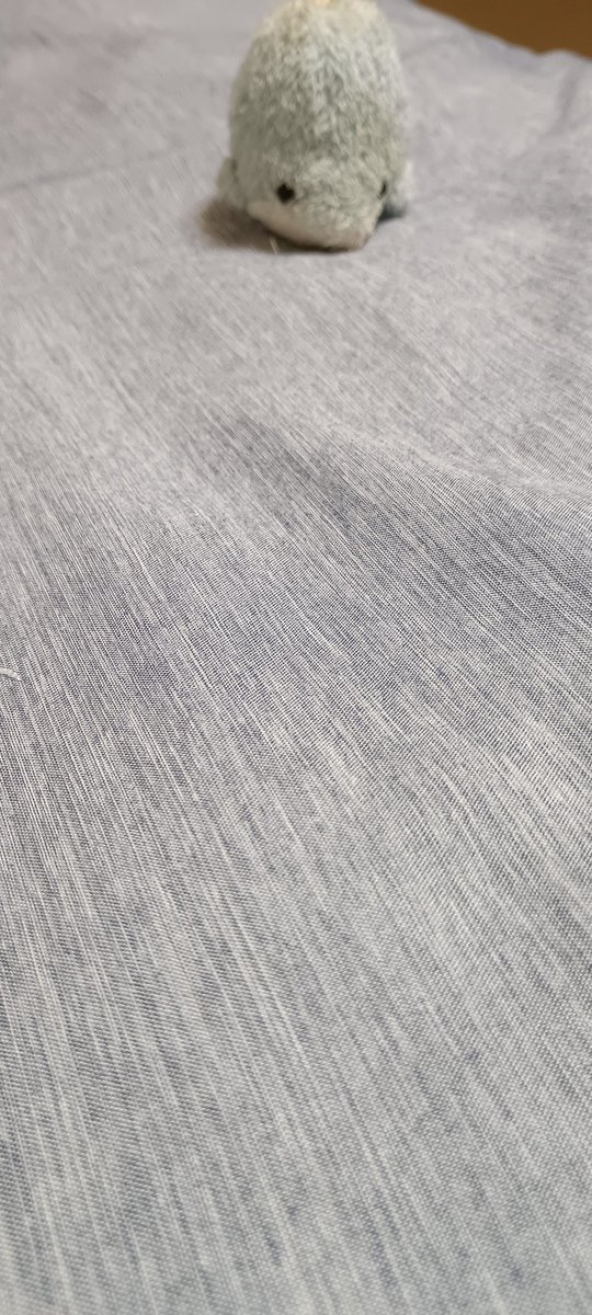ぽつんいるか