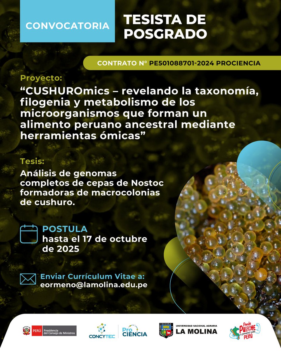 ProcienciaPeru's tweet photo. 🔬 Oportunidad de tesis en el proyecto CUSHUROmics (PE501088701-2024 PROCIENCIA)
📑 Análisis de genomas completos de cepas de Nostoc
📅 Postula hasta el 17/10/2025
📧 Envía tu CV: eormeno@lamolina.edu.pe
#Cushuro #Biotecnología #Prociencia #Concytec https://t.co/5JkAT2BVkG