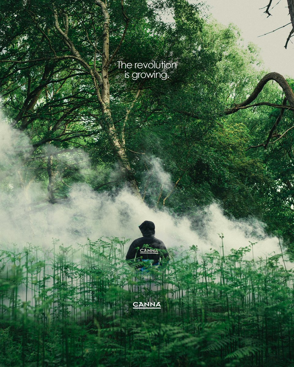 We never settle for good enough, we always push towards better. 

The revolution is growing. 

#hydroponics #qualityprovesitself #homegrown #growing #therevolutionisgrowing