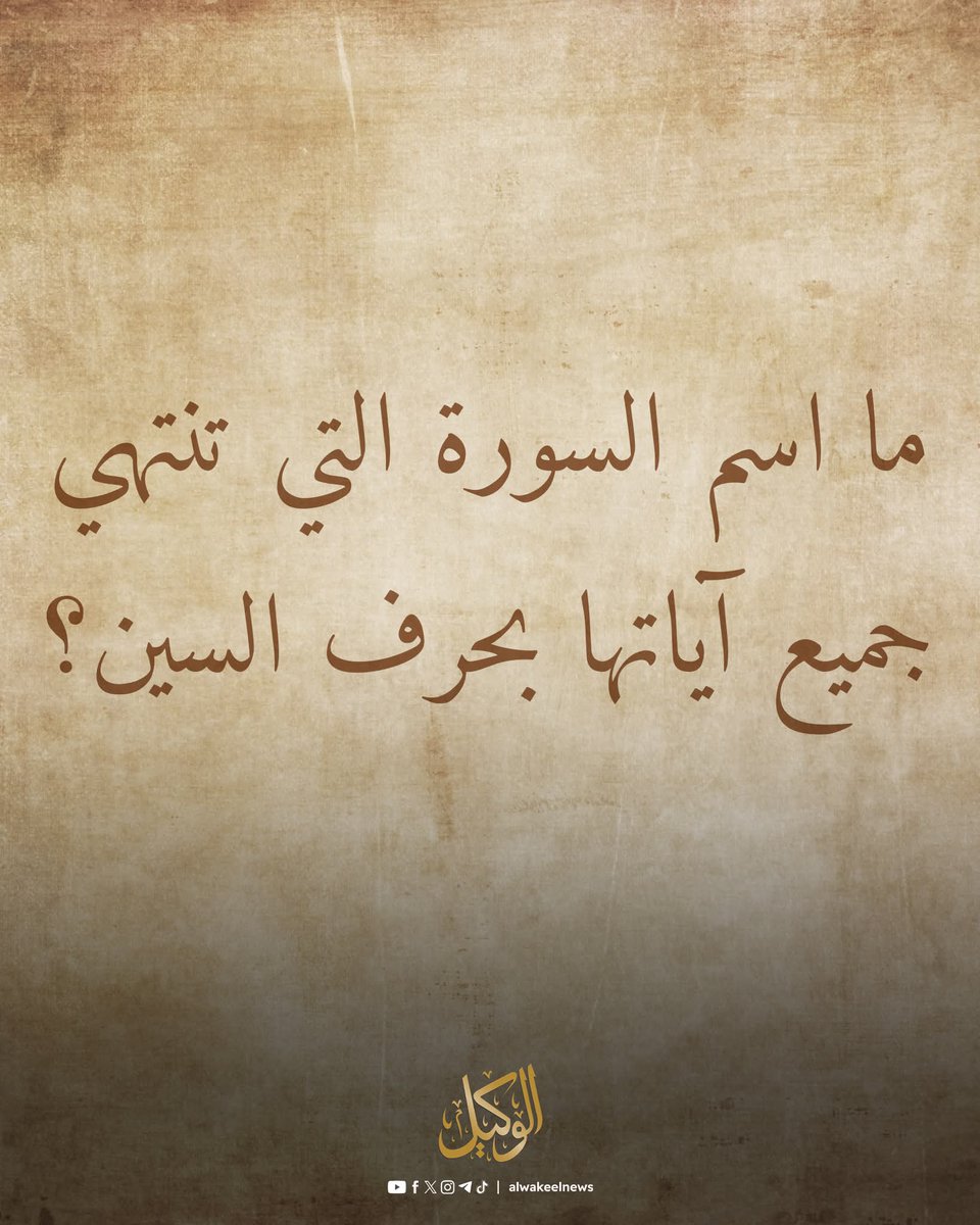 Salma Alashry tweet media
