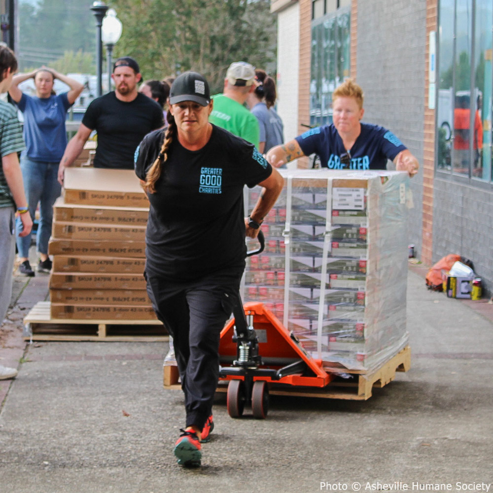 GreaterGoodorg's tweet image. It's been just over a year since Hurricane #Helene struck the southeastern U.S., followed less than 2 weeks later by the additional devastation of #Milton. With tens of thousands of families &amp;amp; animals left in desperate need of help, we mobilized a massive response. (1/4)
