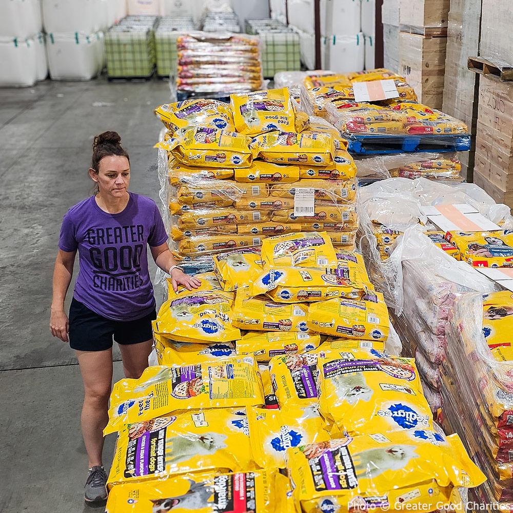 GreaterGoodorg's tweet image. It's been just over a year since Hurricane #Helene struck the southeastern U.S., followed less than 2 weeks later by the additional devastation of #Milton. With tens of thousands of families &amp;amp; animals left in desperate need of help, we mobilized a massive response. (1/4)
