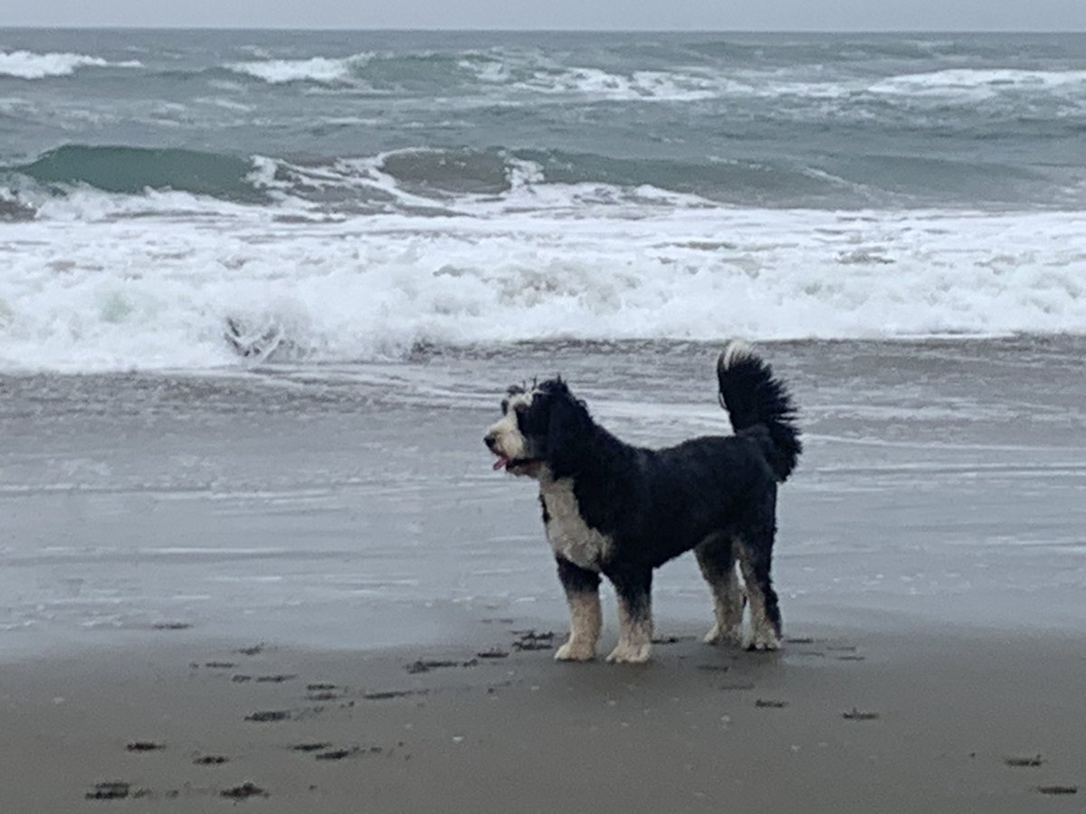 Dave Feldman tweet media