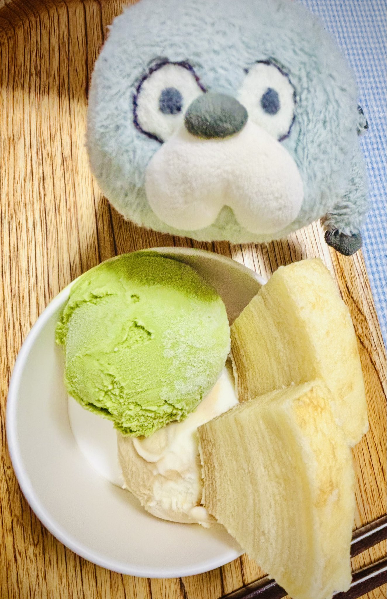 もちもちおもちページ 71fJPcicmnL._UF350,350_QL50_.jpg