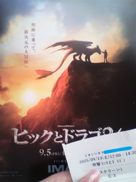 ヒックとドラゴン ドラゴン凧 収納袋付き 限定品 ヒックと