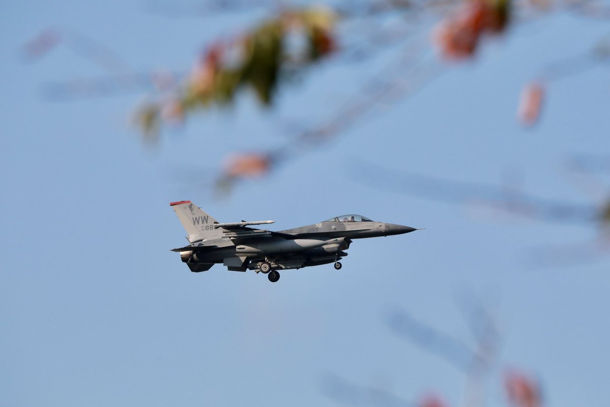 _tatezou's tweet photo. 2025/09/30 #航空自衛隊 #三沢基地 (#RJSM) #SM_watcher
紅葉の始まった桜の枝を絡めて秋🍂の雰囲気を出そうと努力しました(・_・;
結果的にボツ写真をたくさん作ったけどねw https://t.co/kdFXt5aYsZ