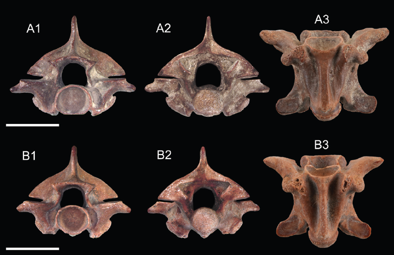 林千翔 (Chien-Hsiang Lin) tweet media