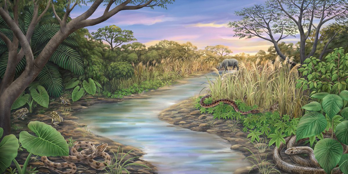 林千翔 (Chien-Hsiang Lin) tweet media