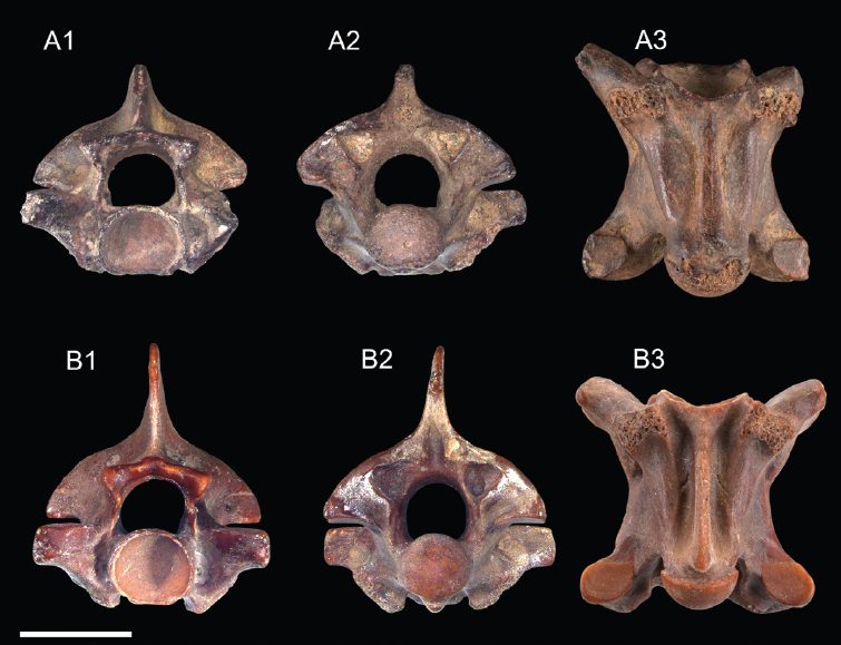 林千翔 (Chien-Hsiang Lin) tweet media