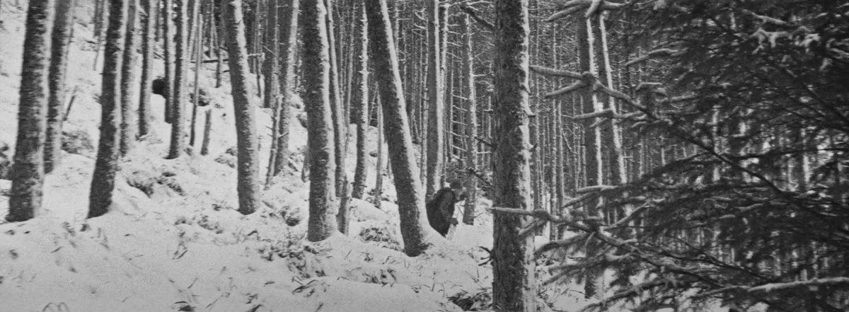 We're pleased to debut the trailer for Ben Rivers' excellent 'Bogancloch,' opening this Friday at Anthology Film Archives.

Watch: thefilmstage.com/exclusive-trai…