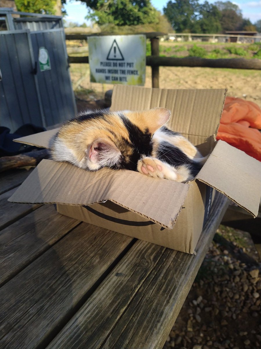 This week's special offer from Amazon!