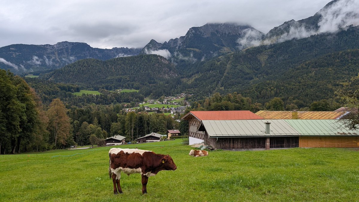 Another hike today. Knees killing but pain is just weakness leaving the body.