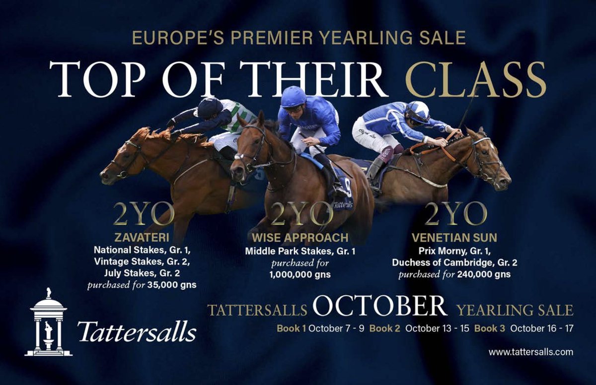 Tattersalls1766's tweet photo. 𝐎𝐍𝐄 𝐖𝐄𝐄𝐊 𝐓𝐎 𝐆𝐎

#TattsOctober https://t.co/0cK1ywRZpb